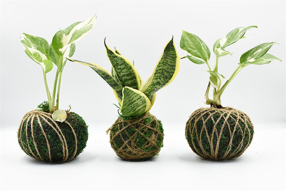 Kokedama Workshop