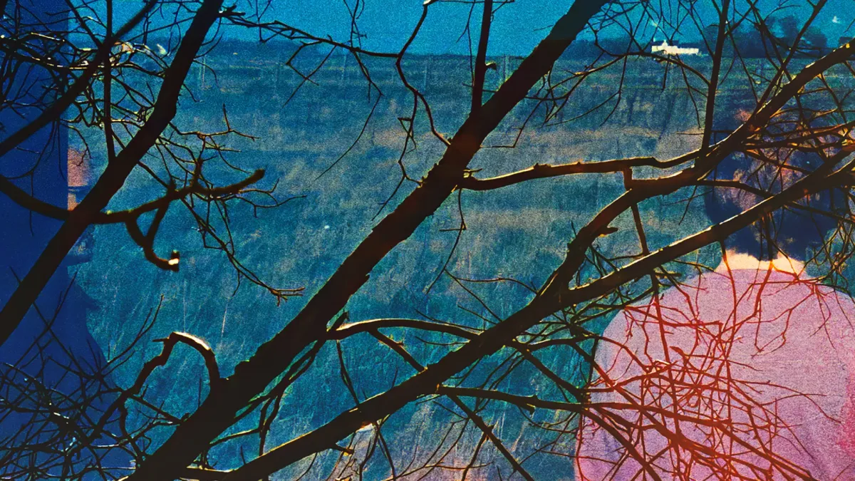 Idlewild in Aberdeen