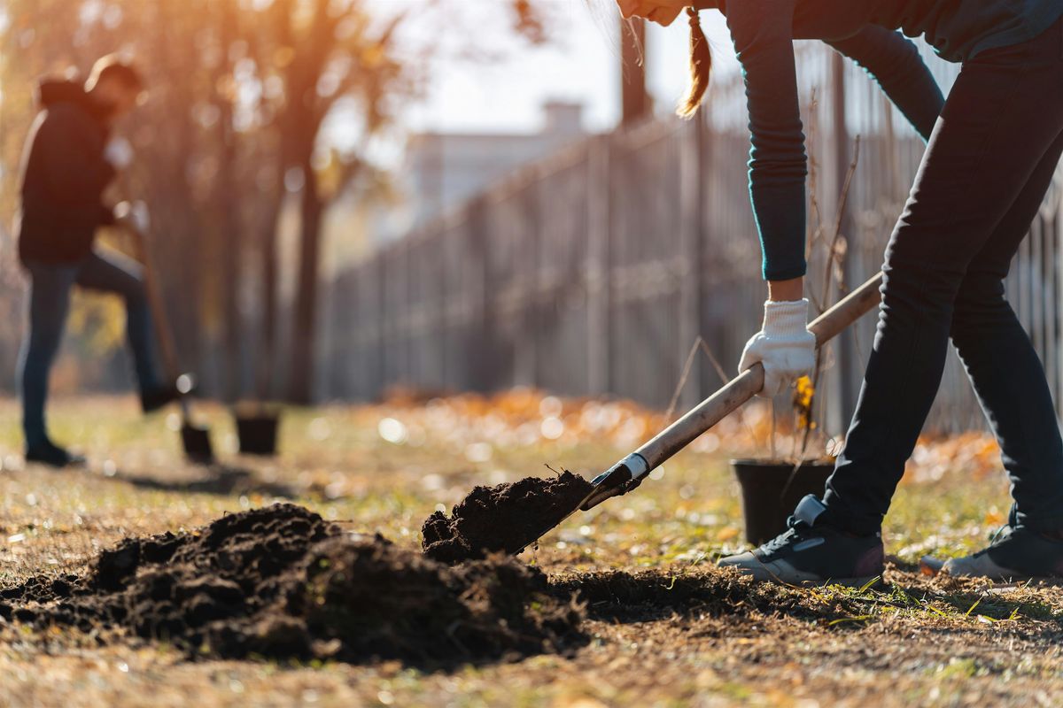 Fall is for Planting at Mahoney's Brighton