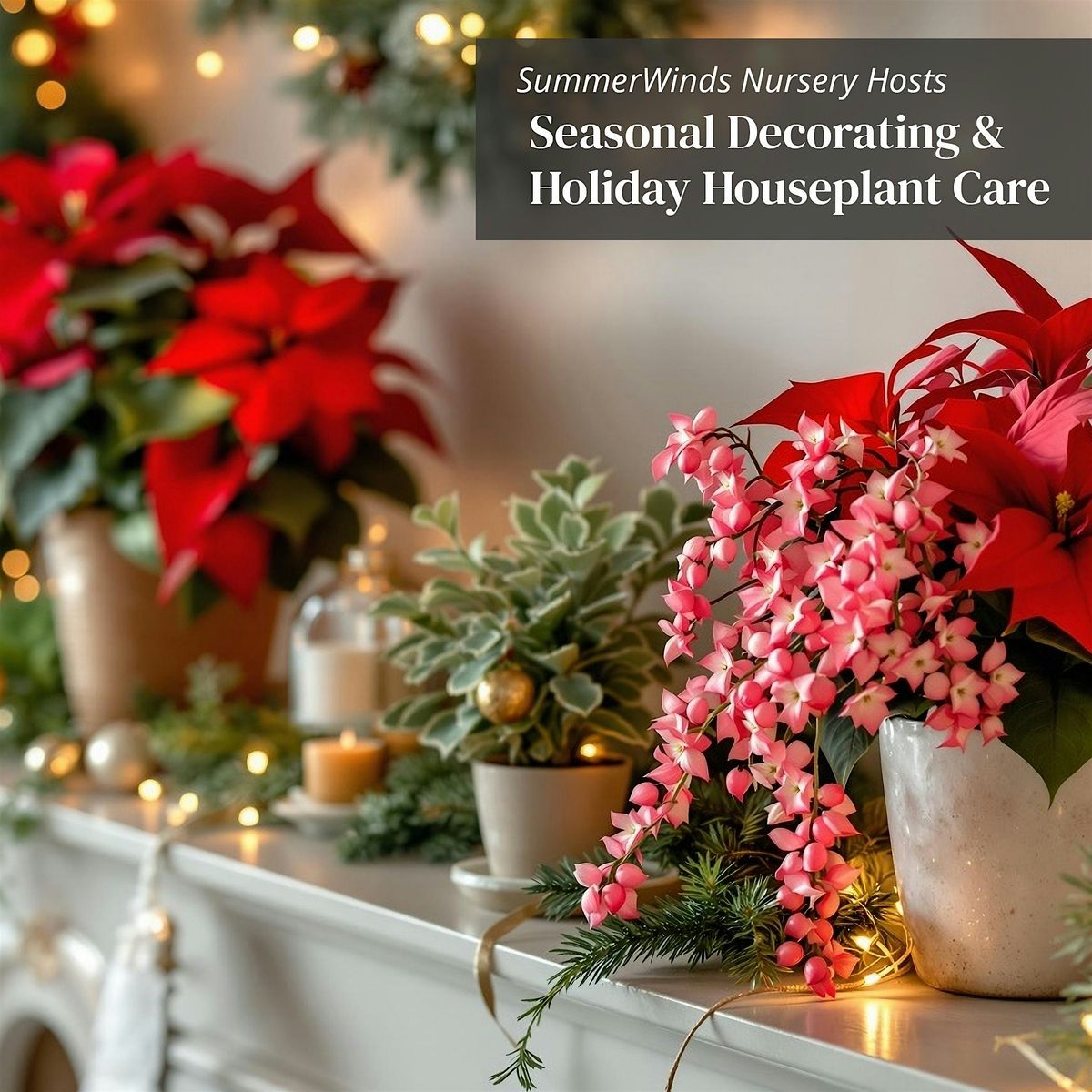Seasonal Decorating & Holiday Houseplant Care With Leo - Novato