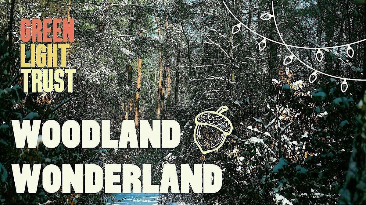 Green Light Trust's Winter Wonderland