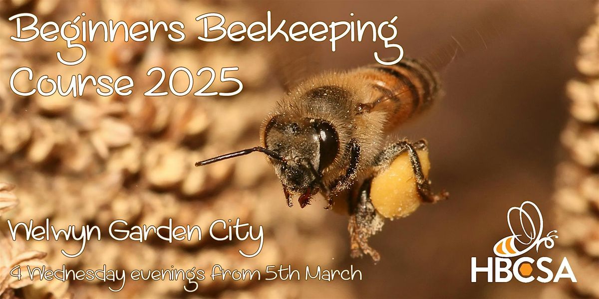 Beginners Beekeeping Course 2026