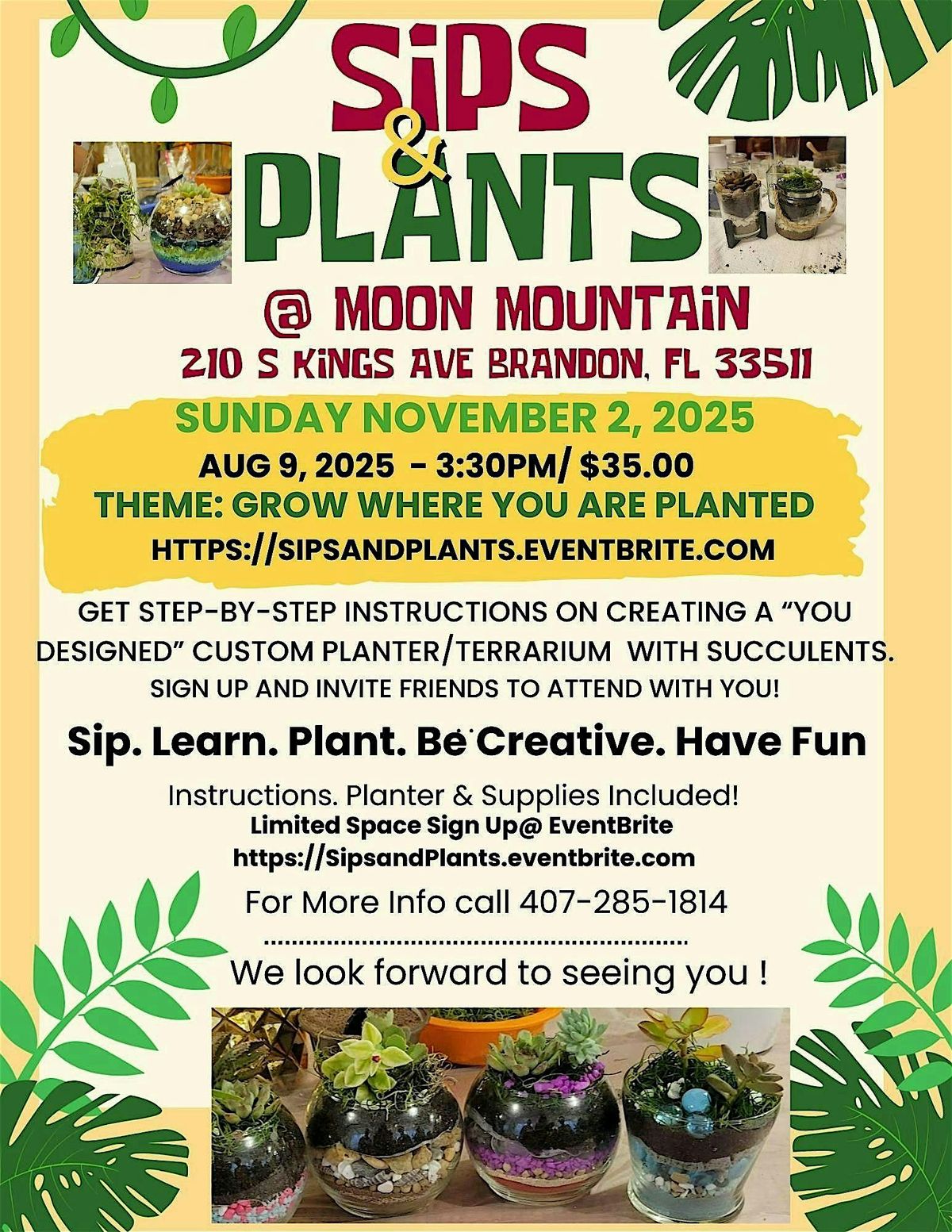 Sips & Plants - A Terrarium Workshop- @ Moon Mountain- Brandon FL