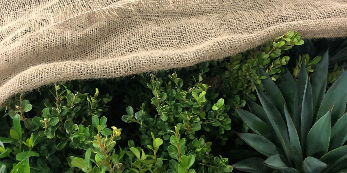 (PAHRUMP) Winterize Your Landscape Seminar