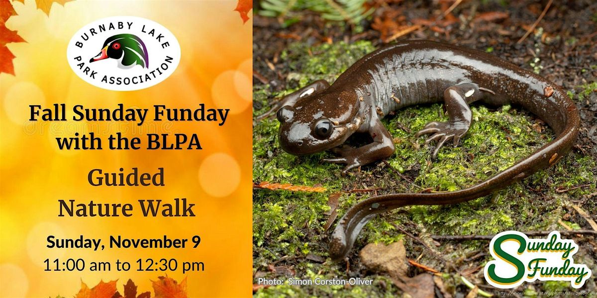Fall Sunday Funday with the BLPA - Guided Nature Walk