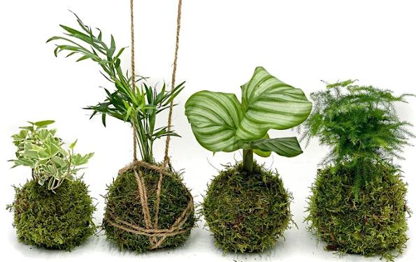 The Art of Kokedama Workshop