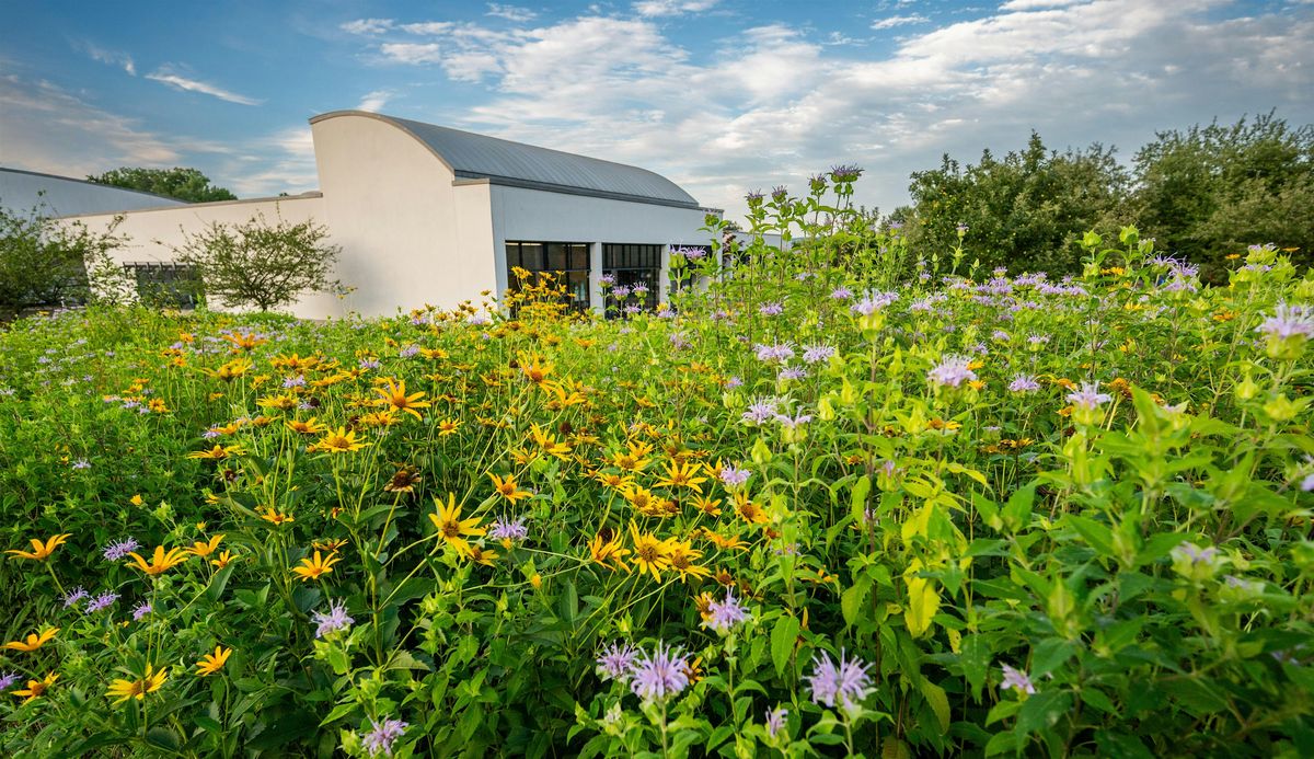 Exploring Materials: Mark-Making in Nature!