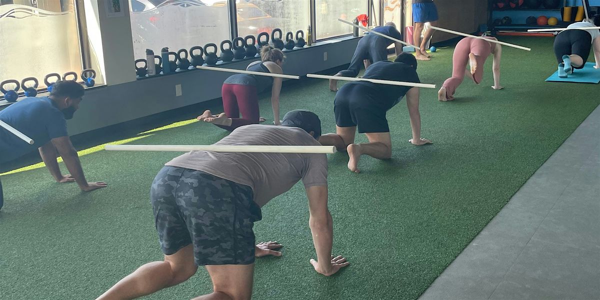 Qi Movements Core Group Training