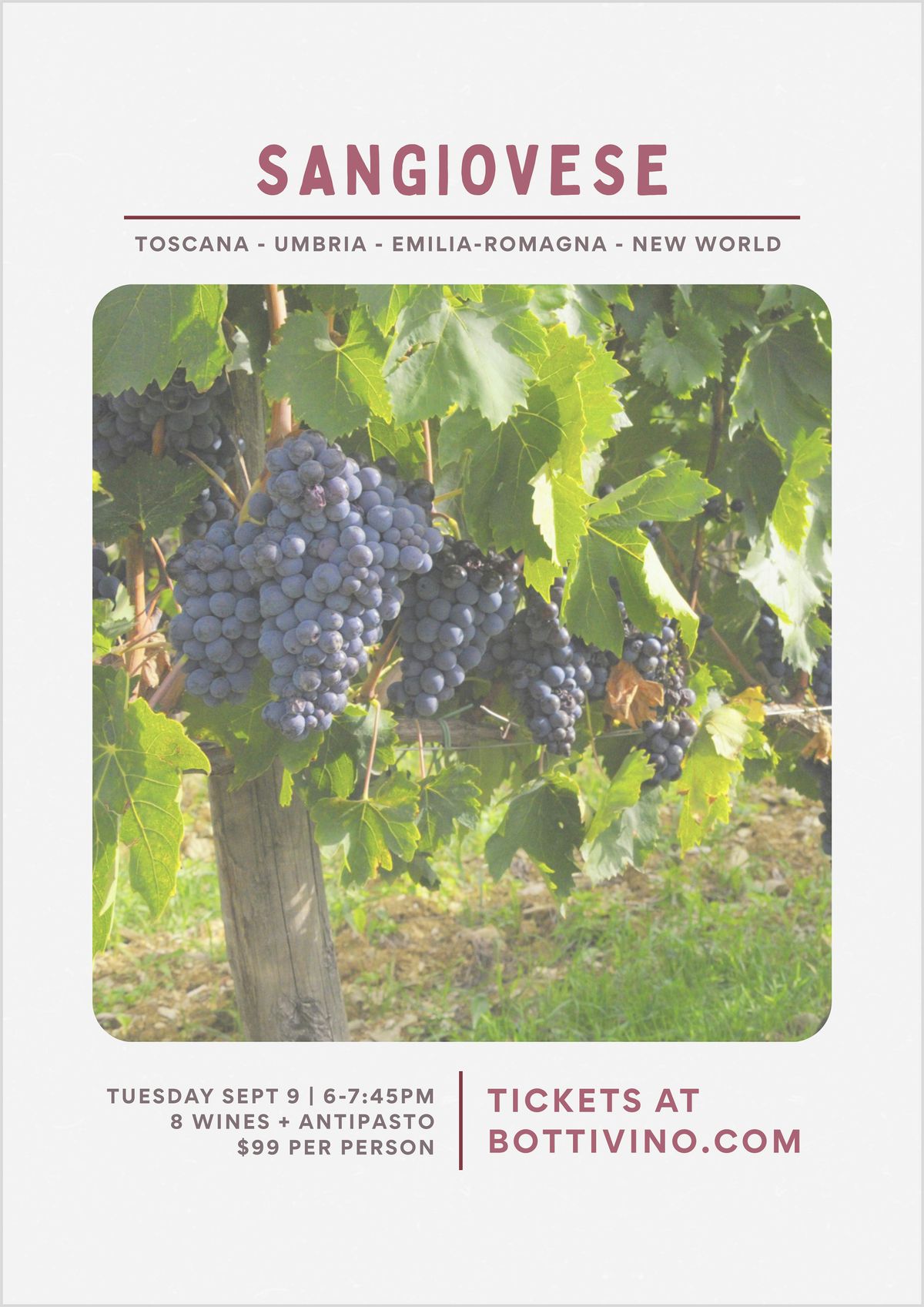 Sangiovese