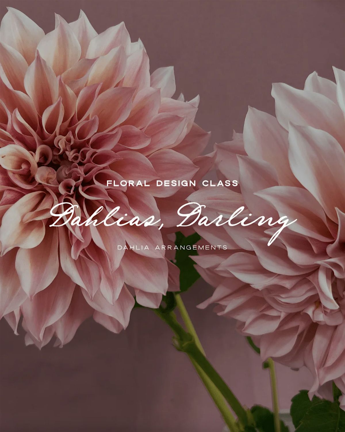 Dahlias, Darling Floral Design Class with Plum Sage Flowers