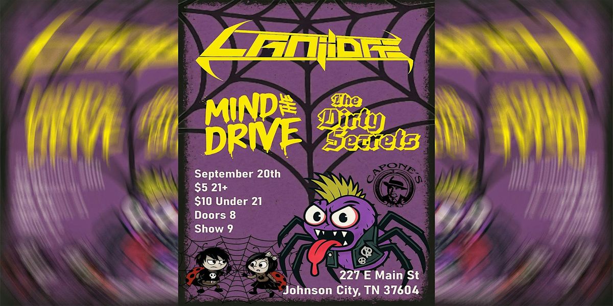 Laniidae | Mind the Drive | The Dirty Secrets