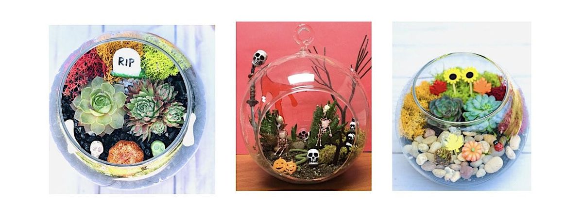 Get Ready For Halloween with Our Succulent Planting Event