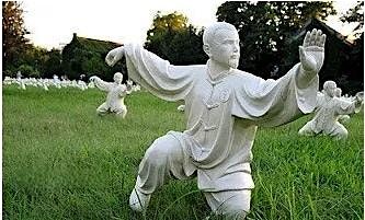 Medical Qigong Module 4: The Advanced Medical Qigong Therapy I