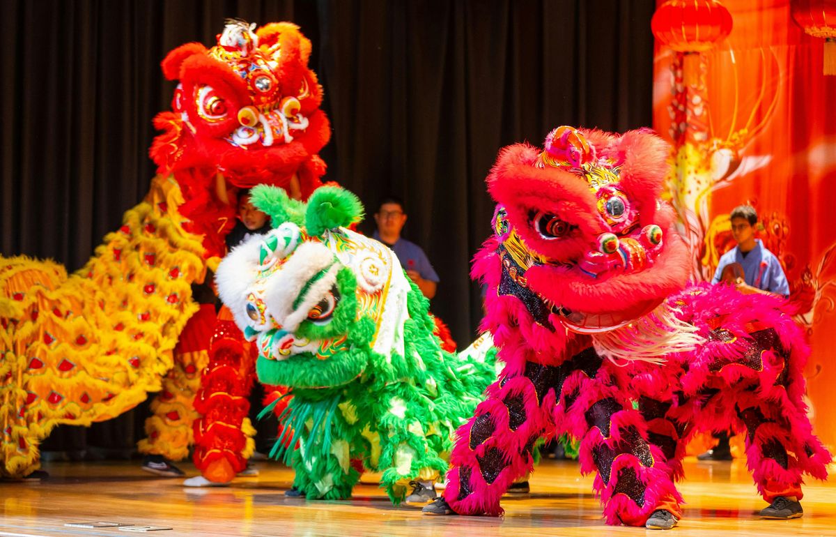 Lion Dance and Kung Fu Performance