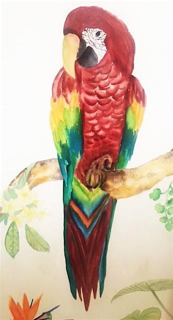 Brilliant Macaw in Watercolors with Phyllis Gubins