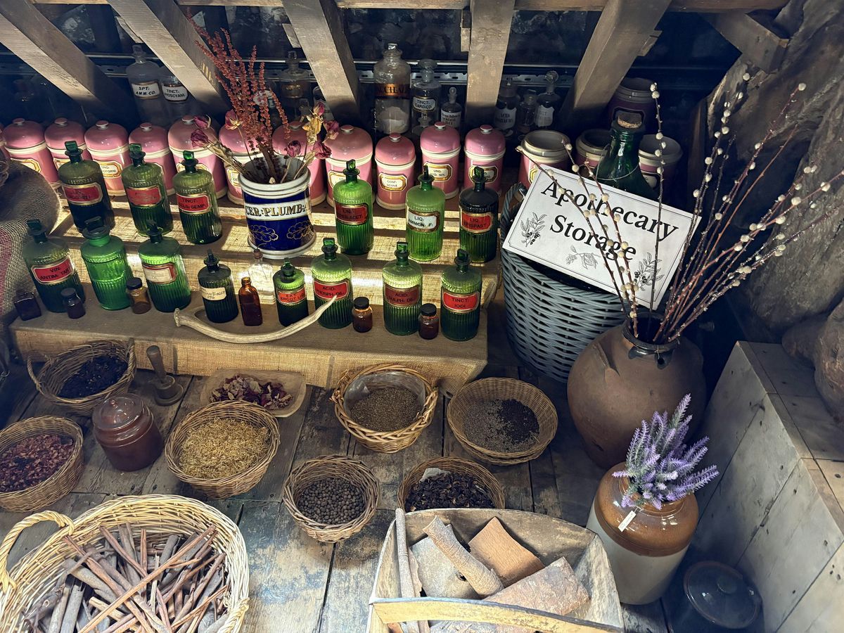 History of Medicine in Media and Literature - April Showcase