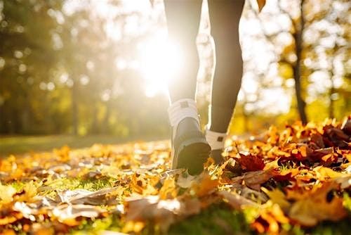 Step Into the Season: Morning Walking & Workout Group
