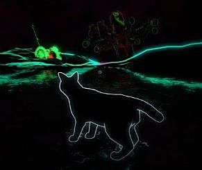 The Psychic Kitty