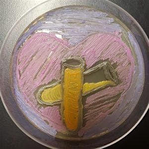 Microbe Art Worlds (for ages 9-14)