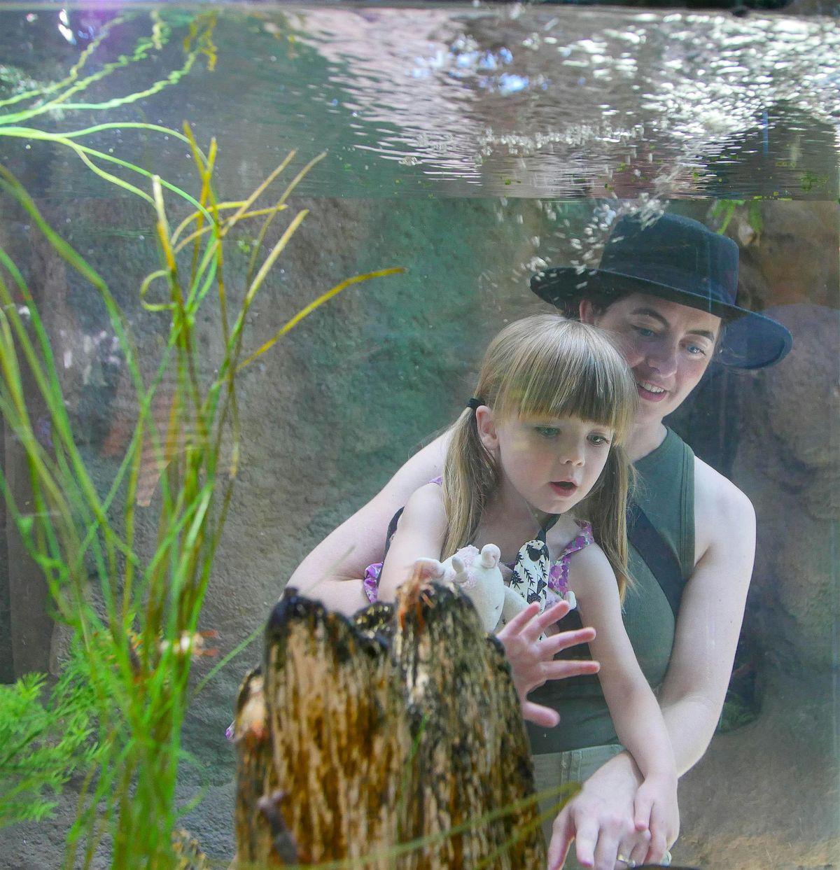 Family Camp: Joyeux Noel (Dec 19 PM)