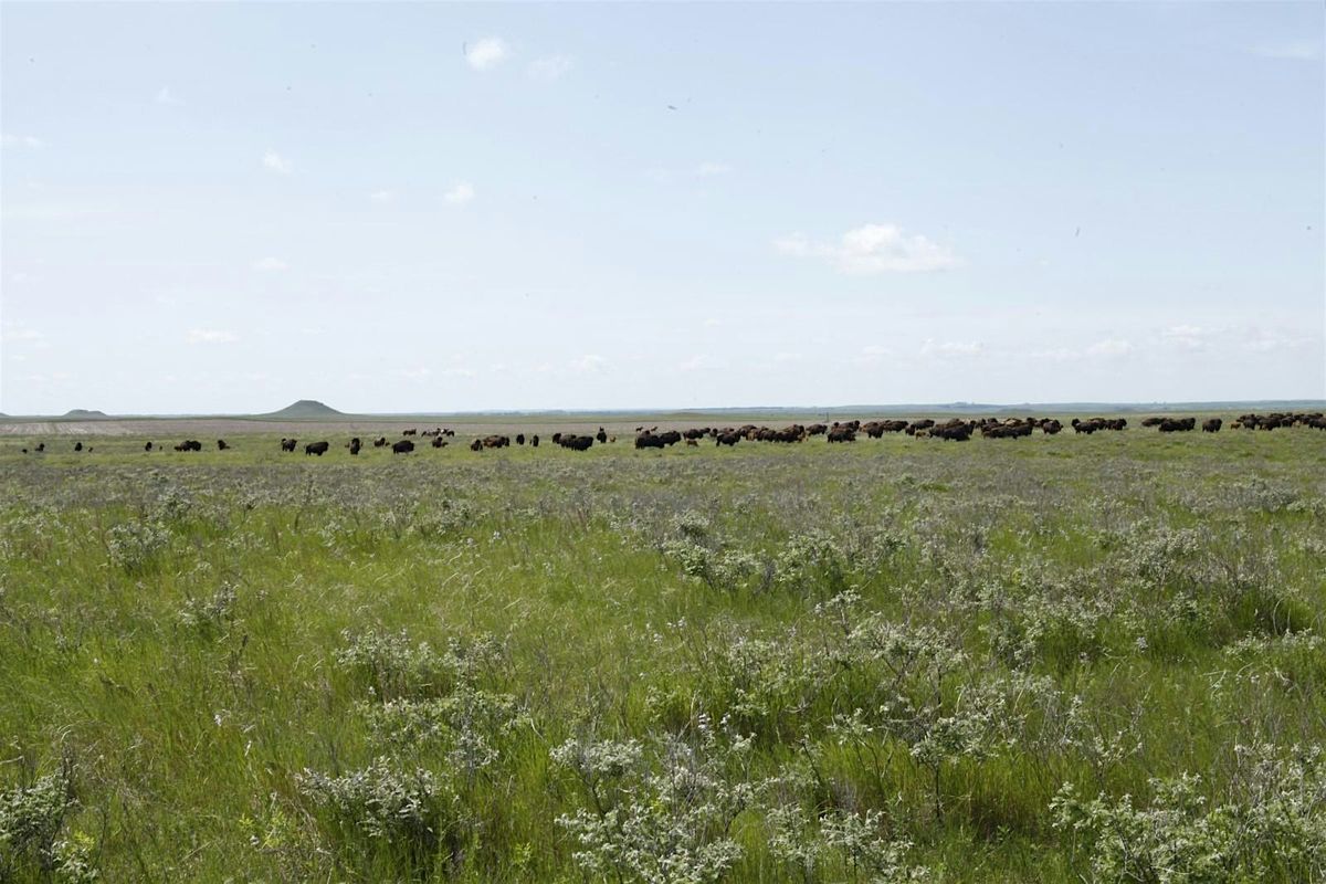 2026 Community Health Representative Symposium