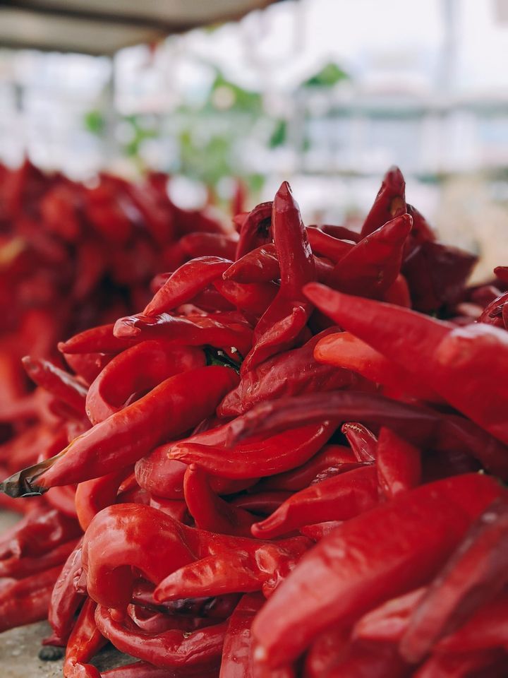 Chile Fest 2022 Nick's Garden Center, Aurora, CO September 10, 2022