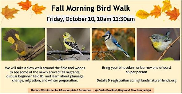Fall Morning Bird Walk