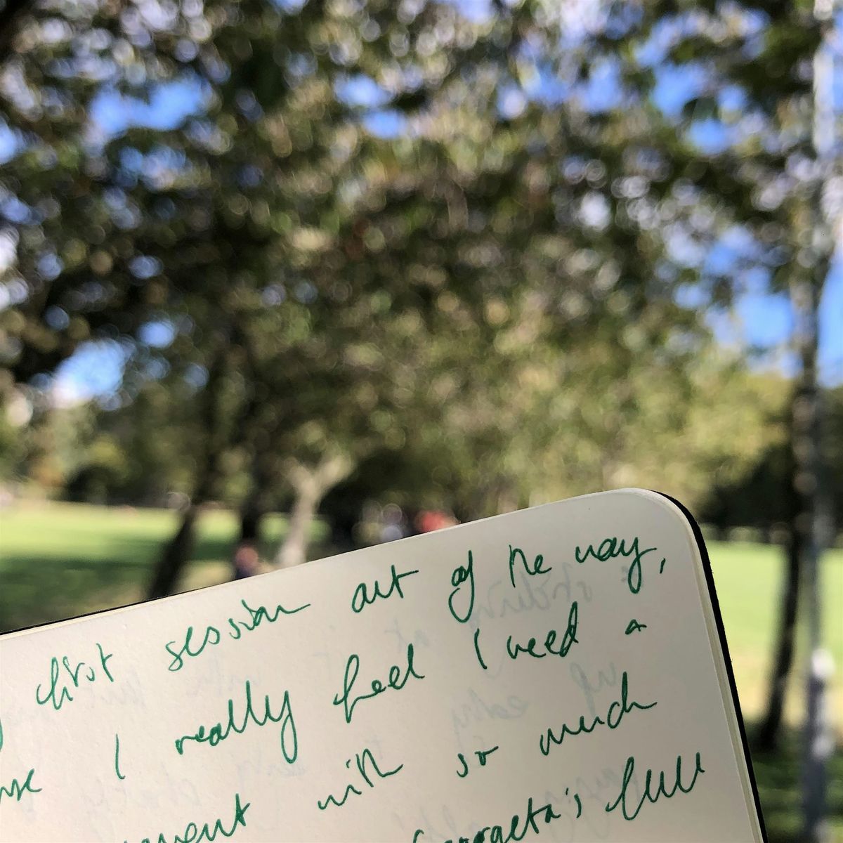 Nature writing for city folk: Meadows