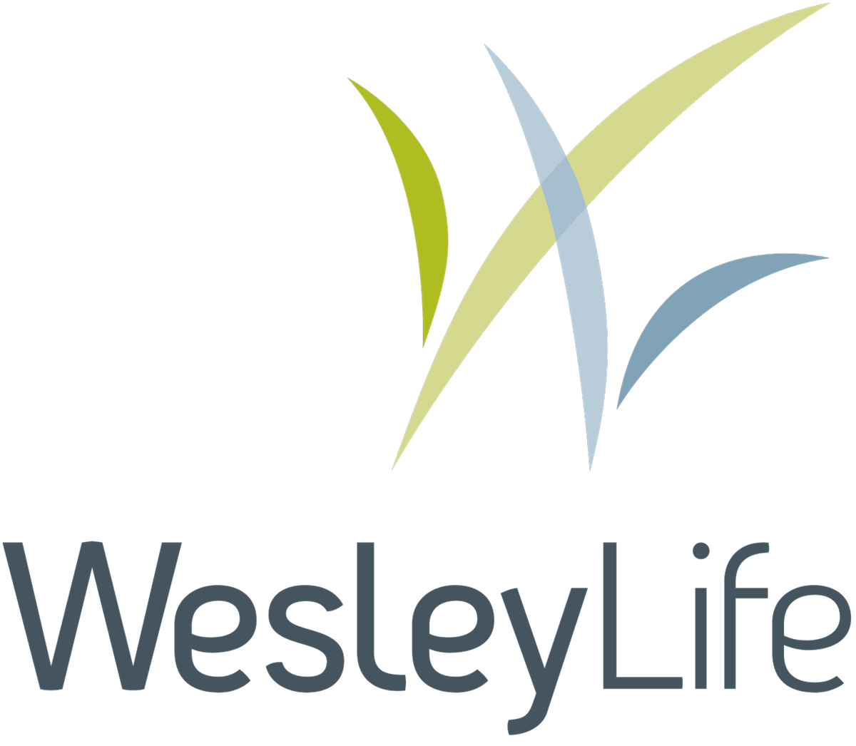 WesleyLife Social Work Summit 2025: Innovations in Aging & Advocacy
