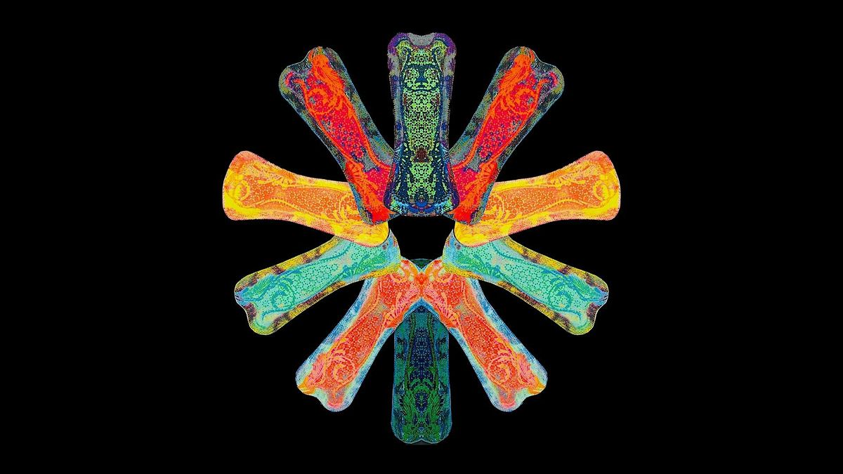 Nicky Riding's Knowledge Gig