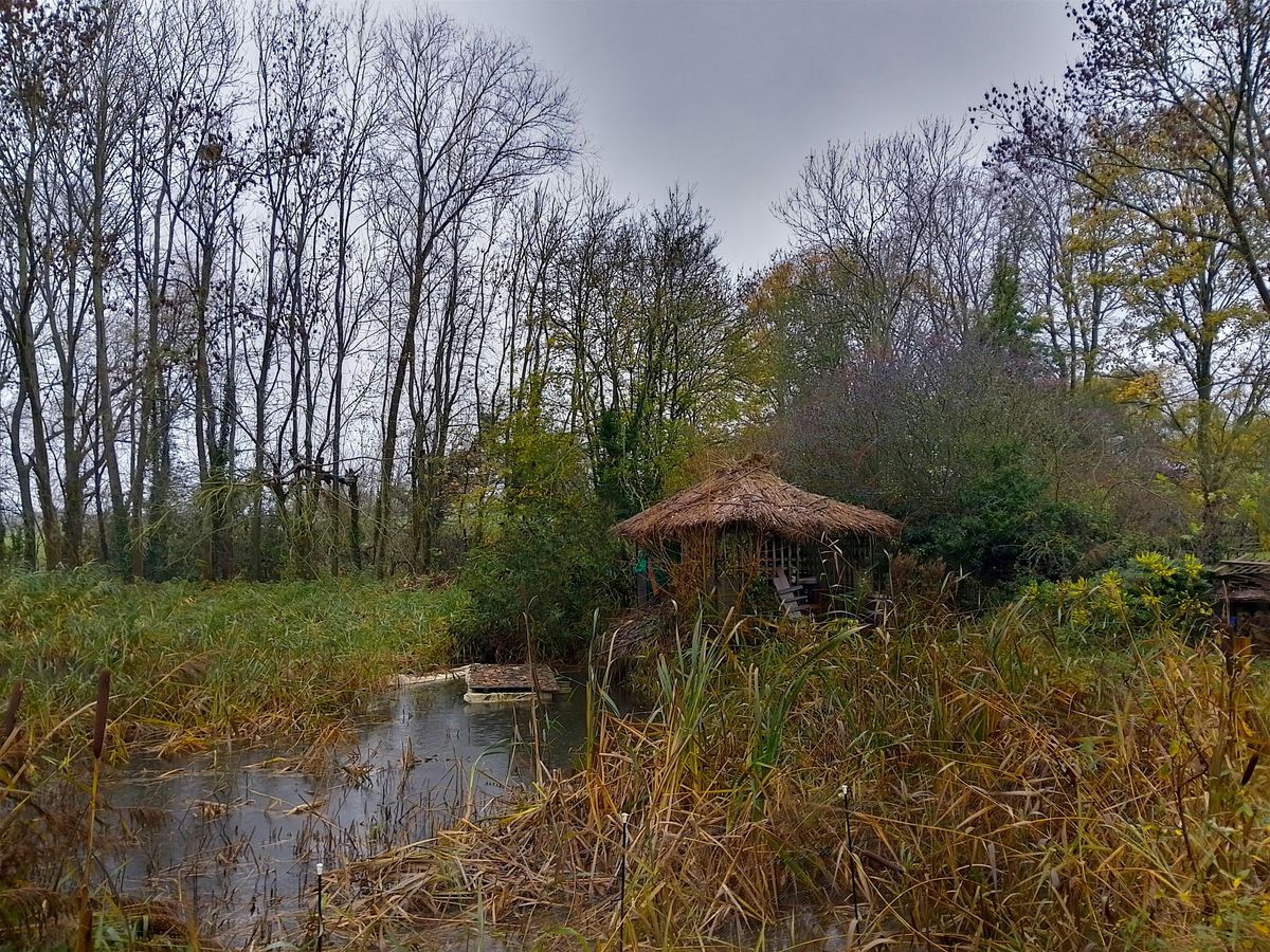 Green Friday! Wellbeing Nature Walkshop