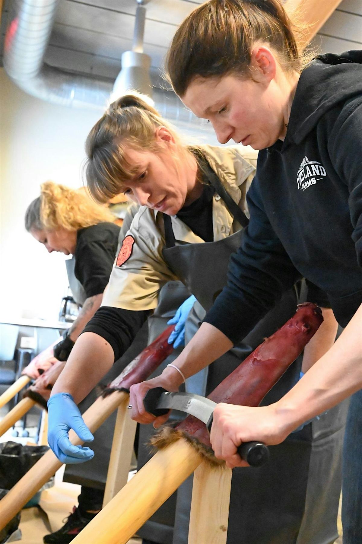 Fur Shed Fridays - Augusta