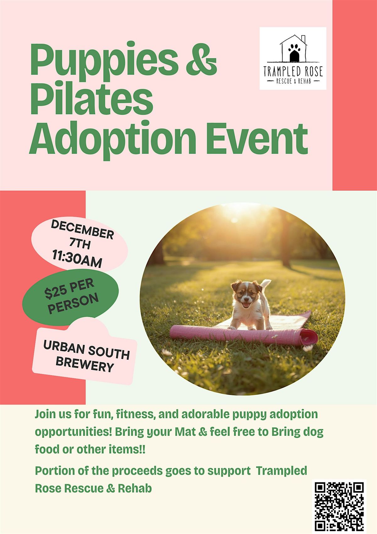 Puppies & Pilates Adoption Event