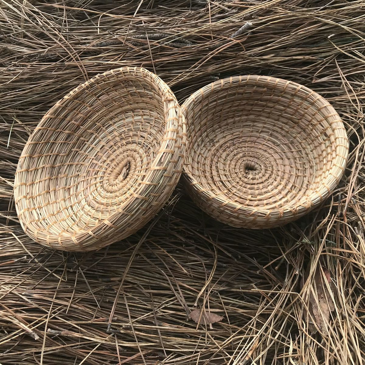 Pine Needle Basketry Workshop