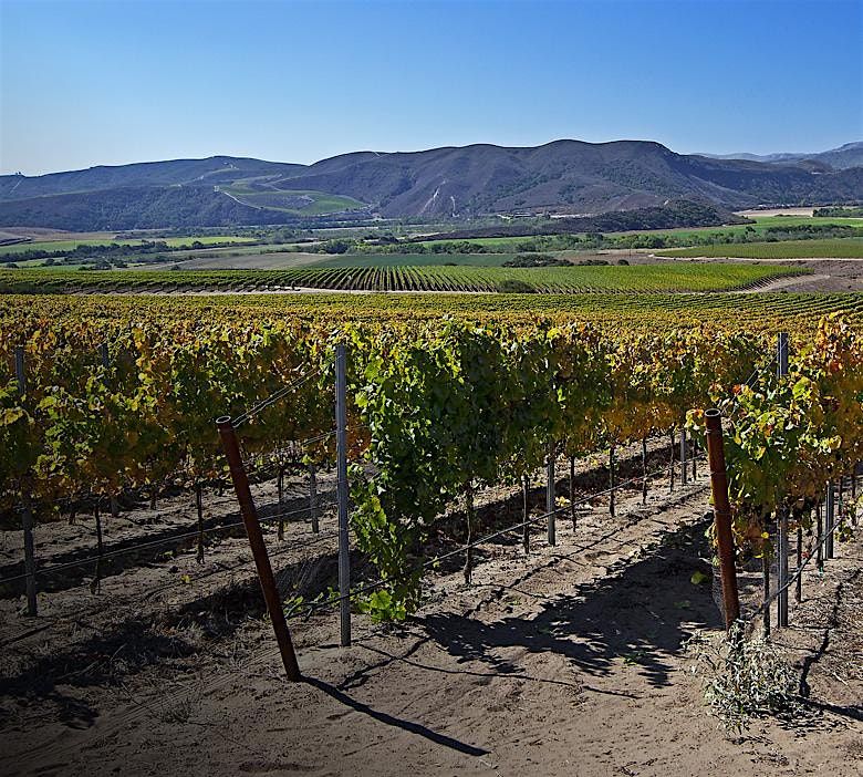 Fess Parker Wine Dinner