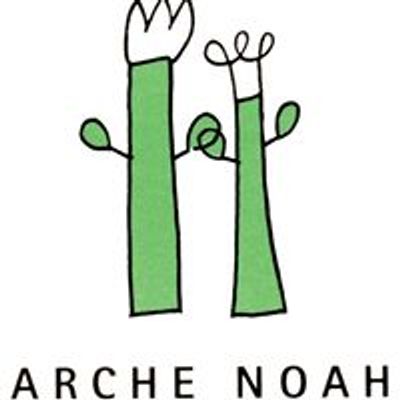 Arche Noah Schiltern