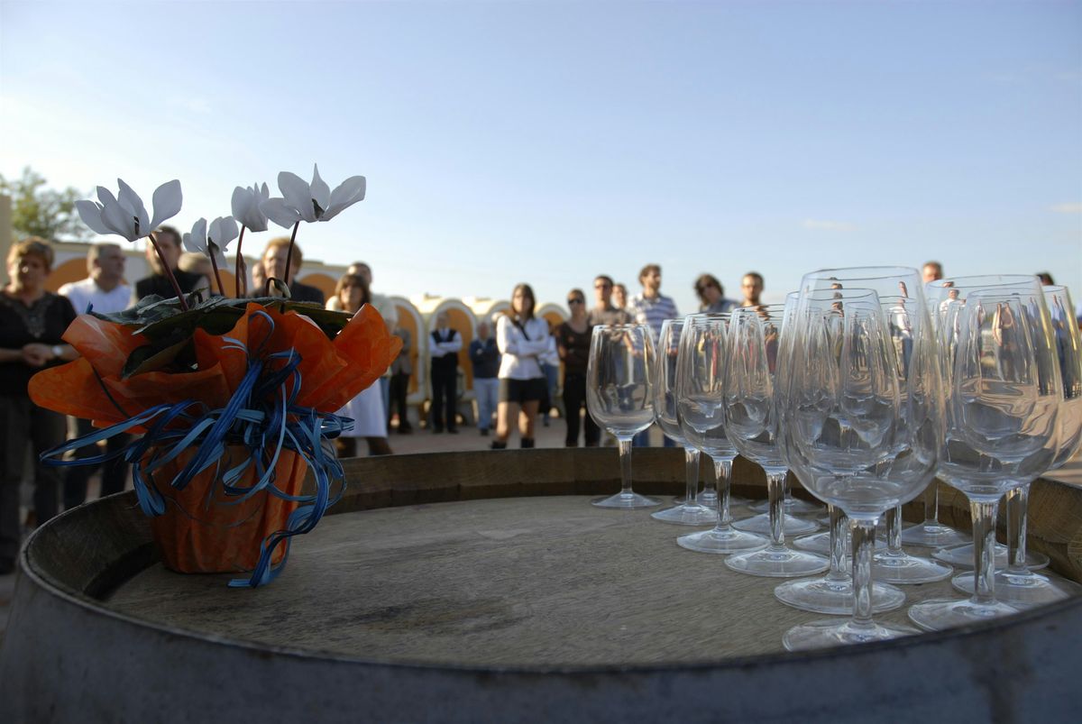 I migliori vini biologici, dalla cantina Rossetto Vini di Arcade (TV)