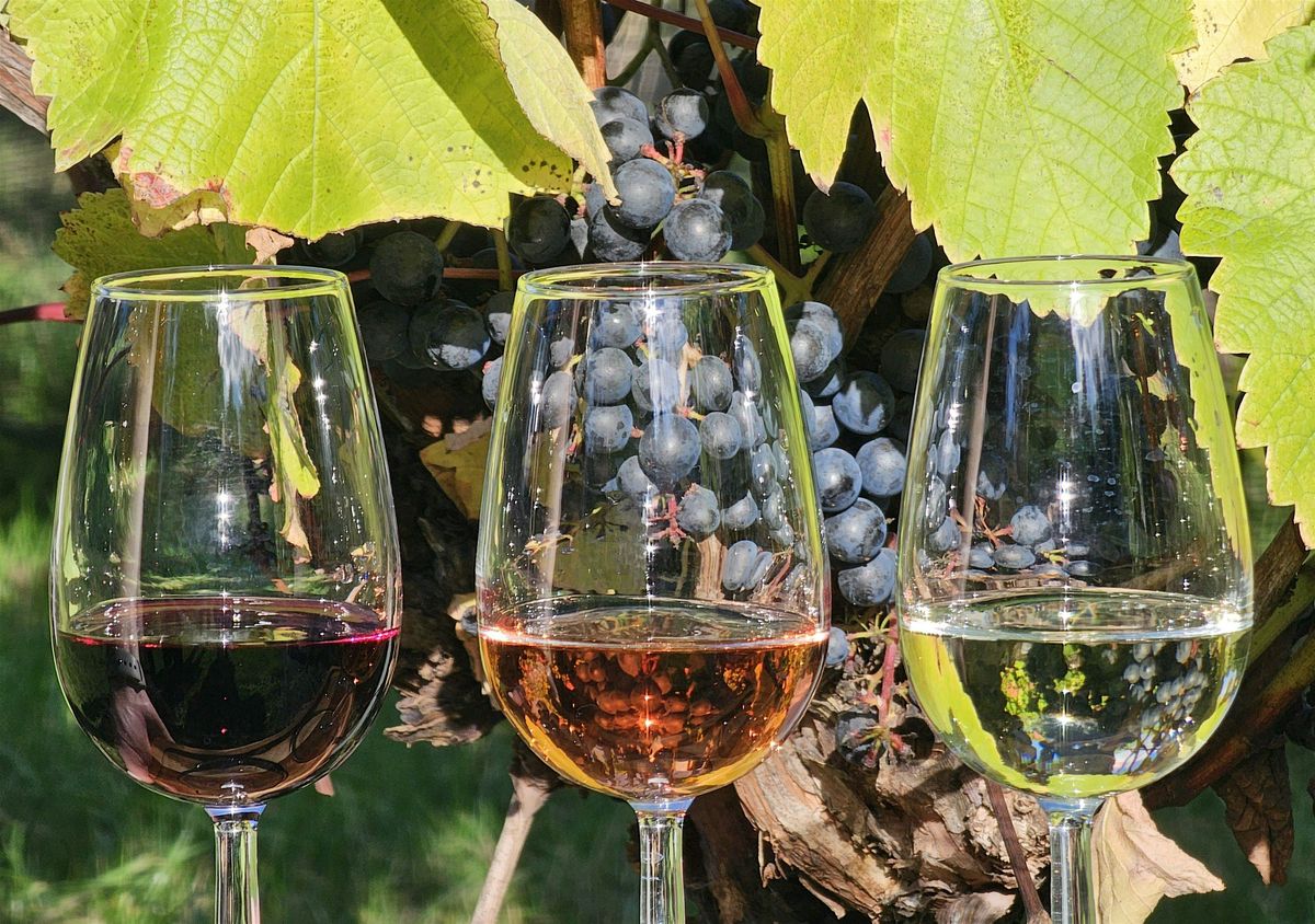 HILLY HIKE 16km The Hidden Valleys, Vineyards and Tudor Palaces of Kent