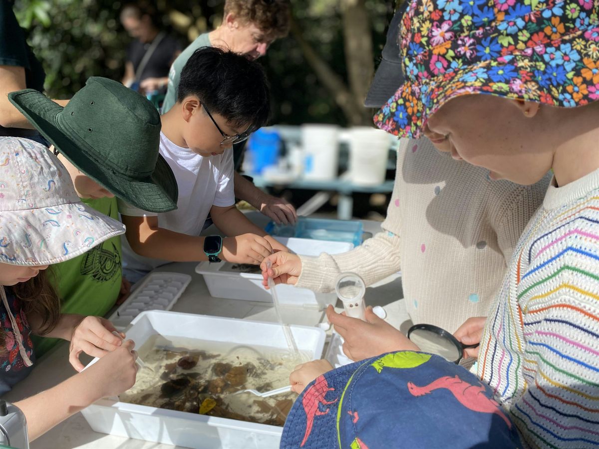 Mission: Mozzie - uncover the secret life of mosquitos!