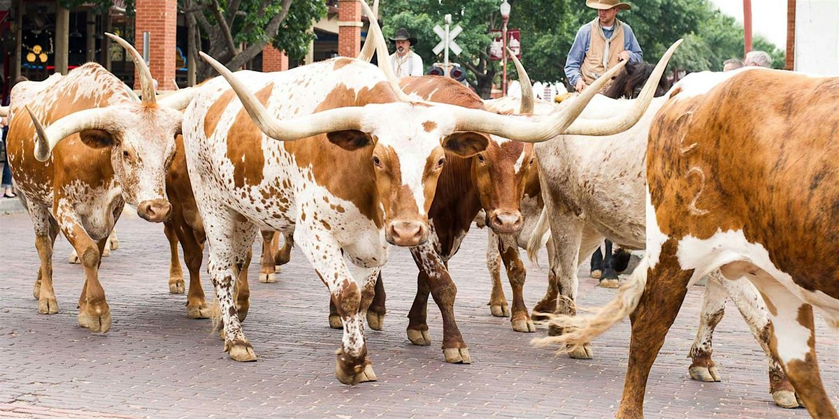Fort Worth Stockyards Historic District Tour = January 17