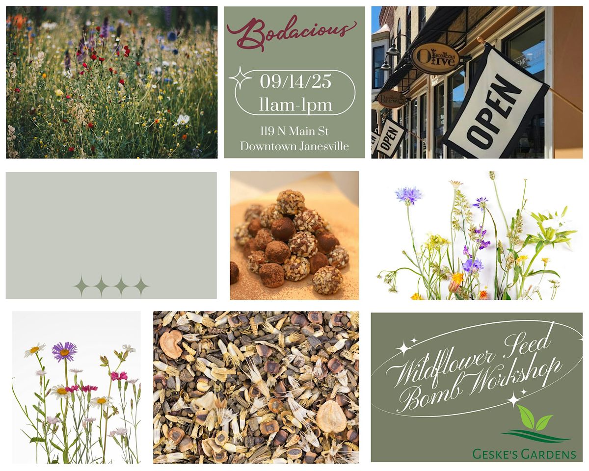 Wildflower Seed Bomb Workshop