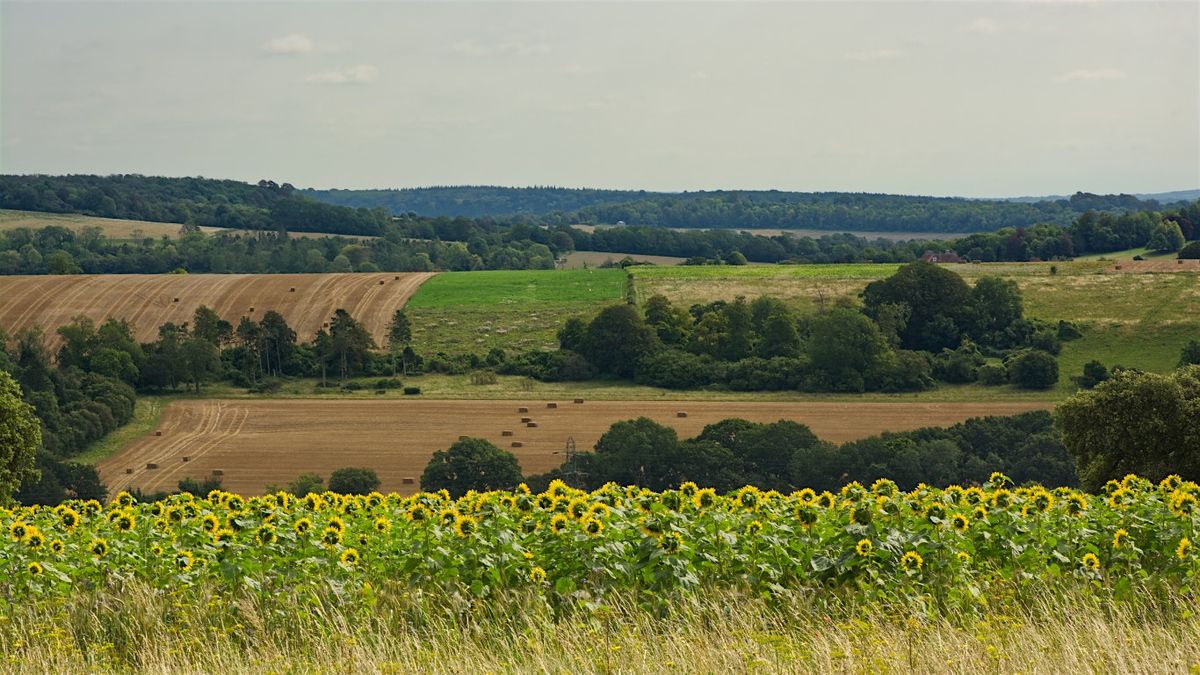 West Sussex Autumn Weekend Tour (from Cambridge)