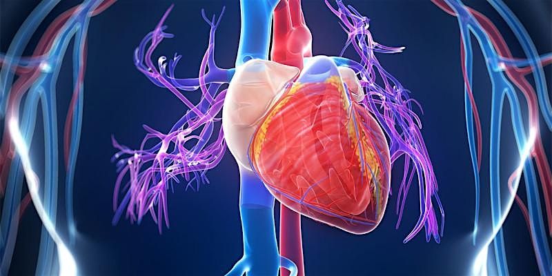Cardiac Connection-Understanding Cardiomyopathy