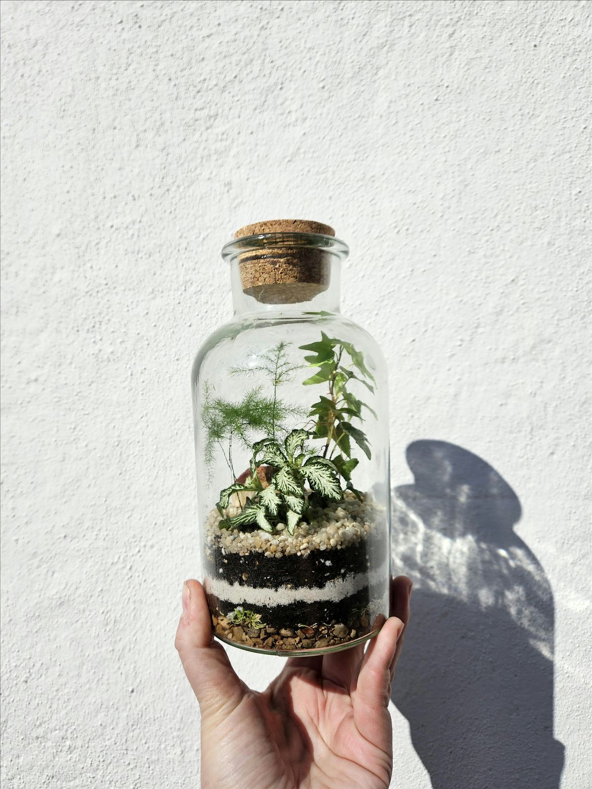 Small Closed Terrarium Workshop