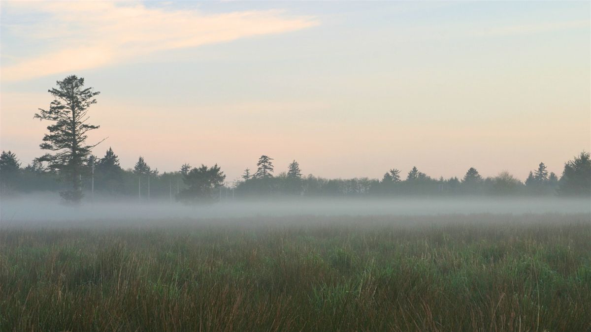 Practice Qigong at Circle Creek