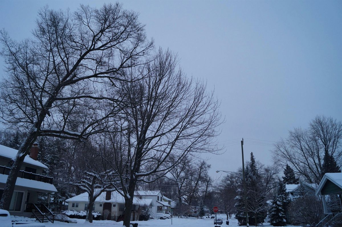 Amazing Scavenger Hunt! - Royal Oak scavenger hunt