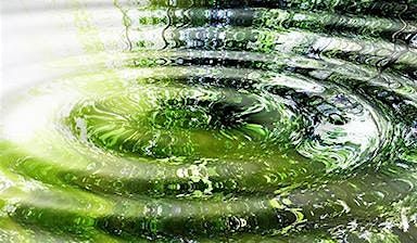 Positively Influence Others - Meditation Workshop