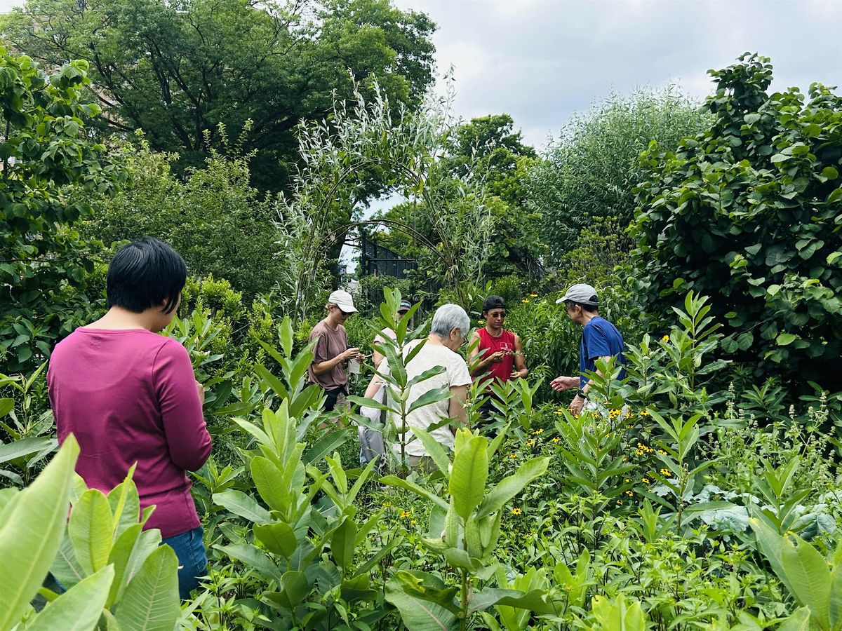 Talk on Invasive Species + Sculptural Seed Pod Making