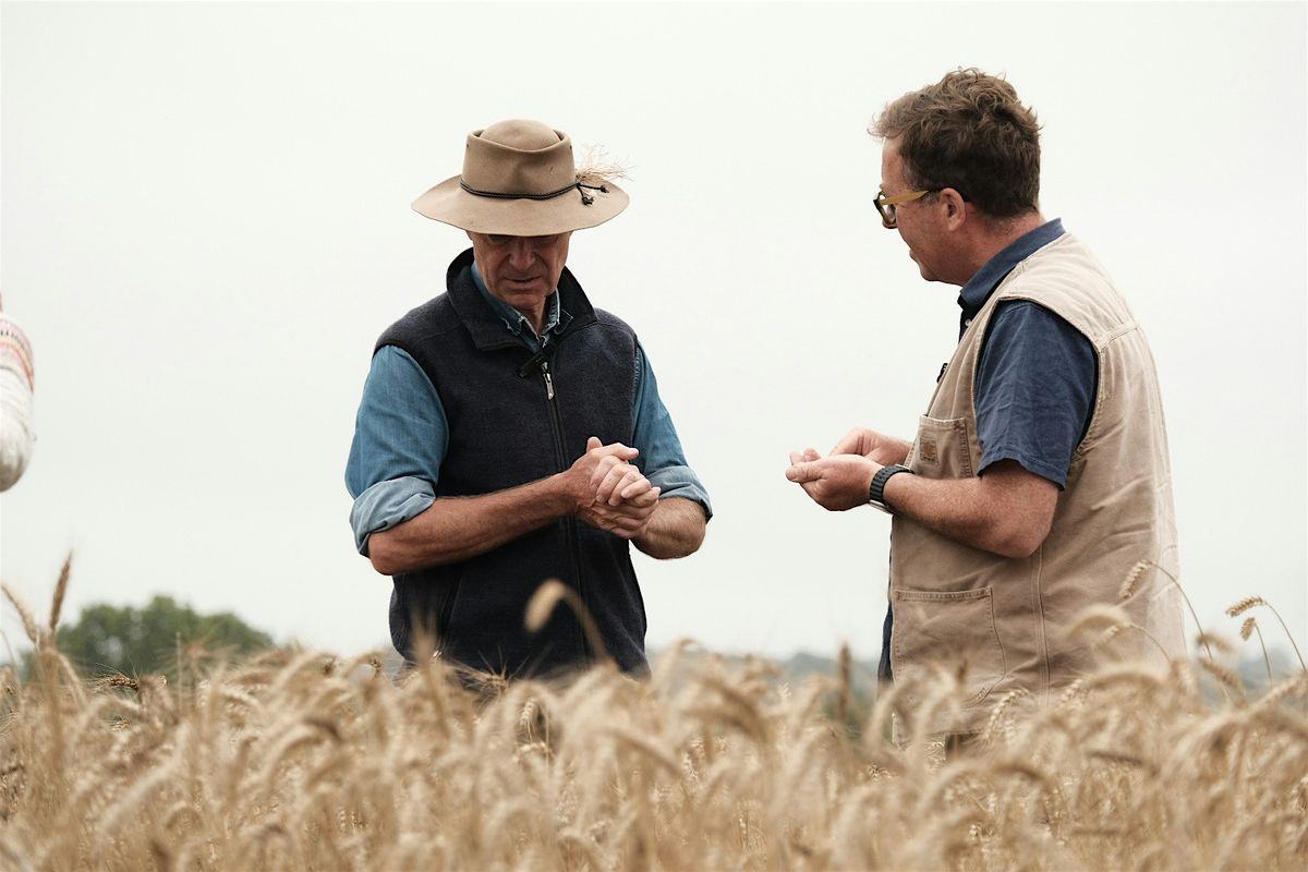 Lovingly Artisan: The Truth is in the grain