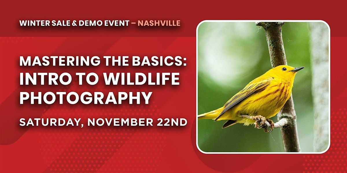 Mastering the Basics: Intro to Wildlife Photography | Nashville, TN